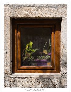 Window, Trogir