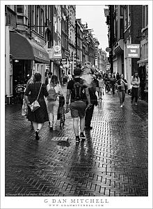 Amsterdam Pedestrians, Rain