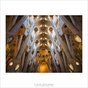 Columns and Ceiling, Sagrada Familia