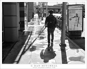 Wet Sidewalk, Shadows