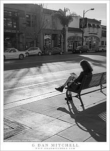 Woman on Sunny Bench