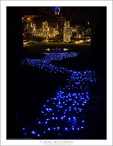 Holiday Lights, Filoli Garden