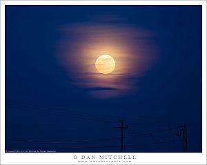San Joaquin Valley Moonrise