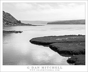 Point Reyes Black and White Photographs