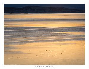 Dawn Reflections, Mono Lake