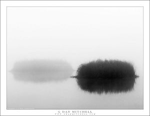 Two Islands, Fog