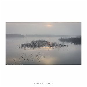 Wetland Reflections, Winter Morning