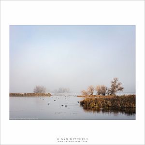 Winter Wetlands, Clearing Fog