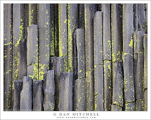 Basalt Columns And Lichen