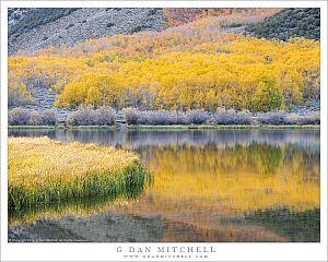 Quiet Lake, Autumn Reflections