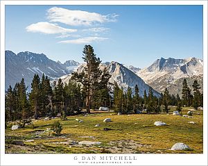 Subalpine Meadow, Forest, and Peaks