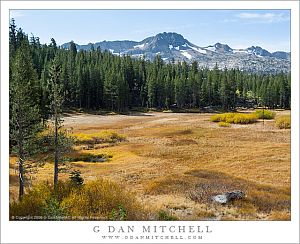 Sierra Crest Meadow, Autumn