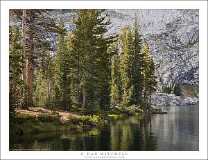 Subalpine Lake and Forest
