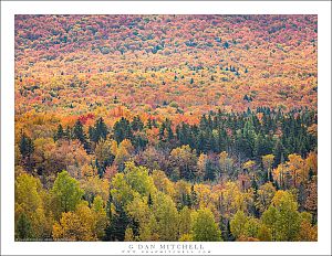 Peak New England Color