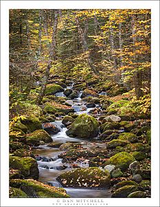 White Mountains Creek, Autumn