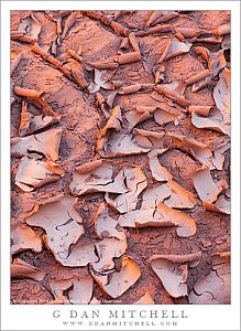 Dried Mud, Canyon Light