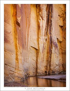 Canyon Wall and Reflections