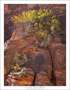 Red Rock Outcropping
