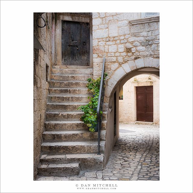 Arch, Stairs, and Plants