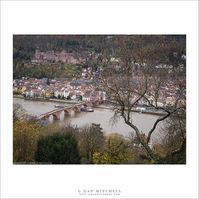 Heidelberg Castle, Bridge, and Altstadt