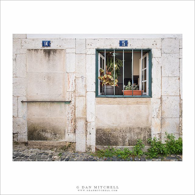 Window 15