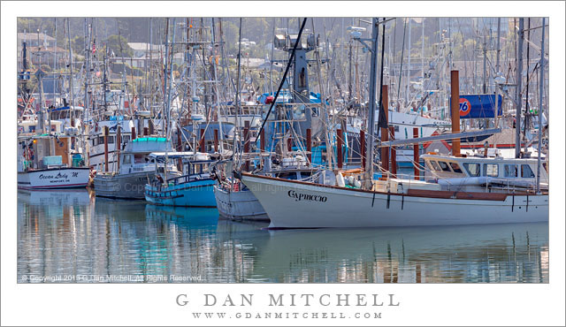 BoatsYaquinaBayHarbor20130820