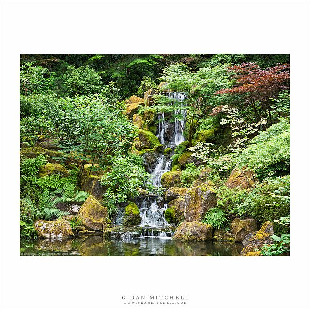 Waterfall And Pond, Japanese Garden