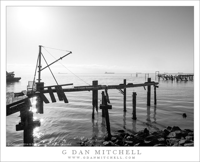 DecayShorelineDocksBW20140613