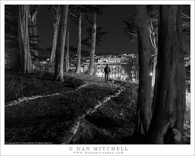 Path Above San Francisco