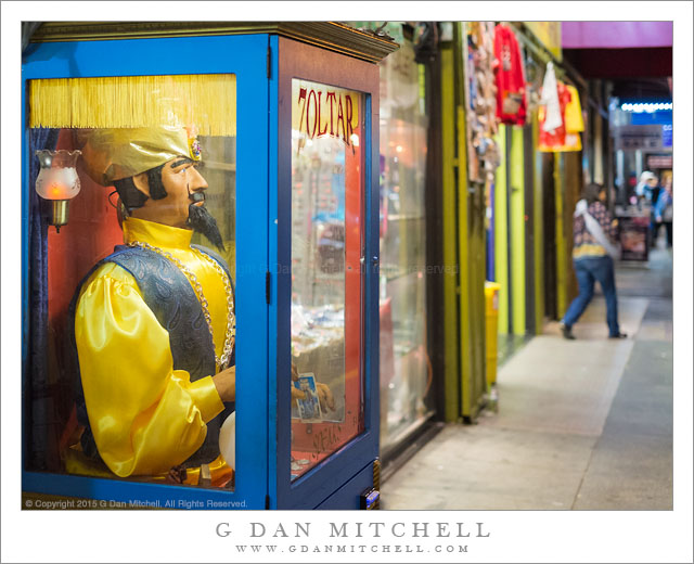 Zoltar Speaks