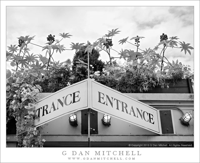 TranceEntrancePikePlaceMarket20130814