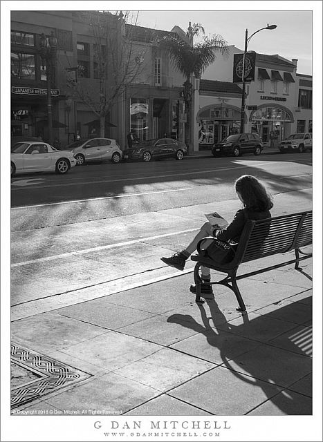 Woman on Sunny Bench