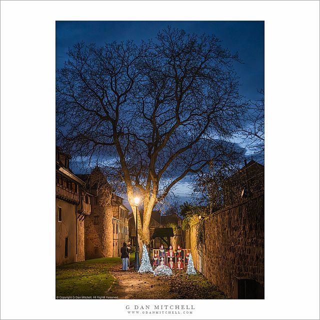 A Riquewihr Christmas Tree