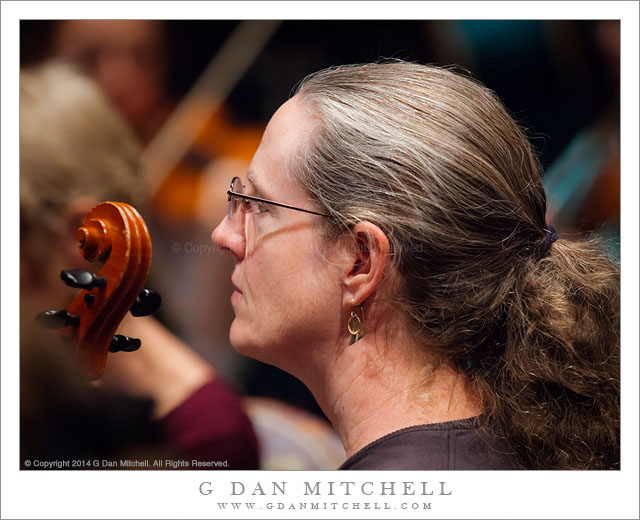 Violist Patricia Whaley