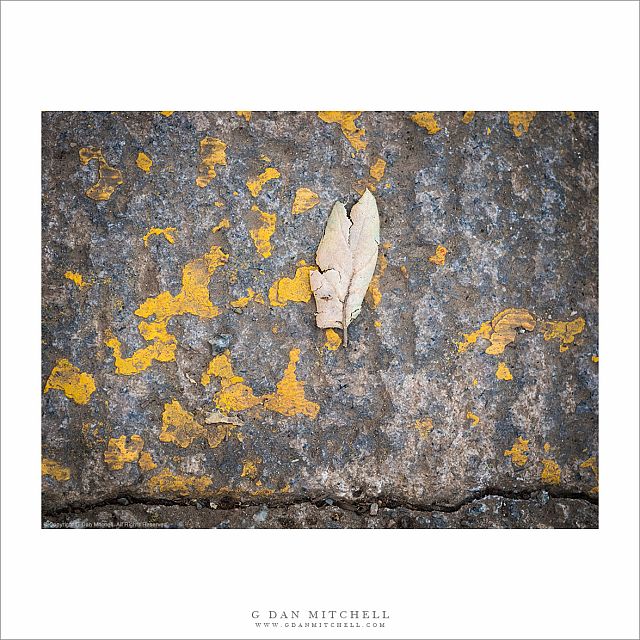 Leaf, Stone, Weathered Paint