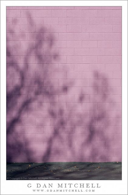 ShadowPurpleWall20090110