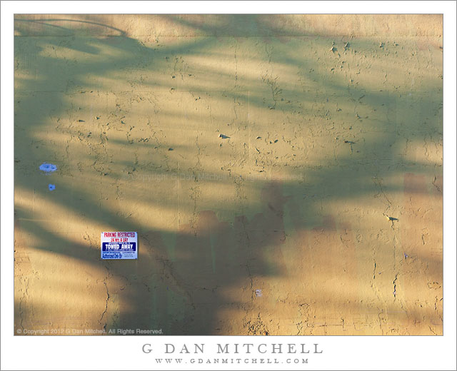 UrbanWallTreeShadowWinterLightWG20121227