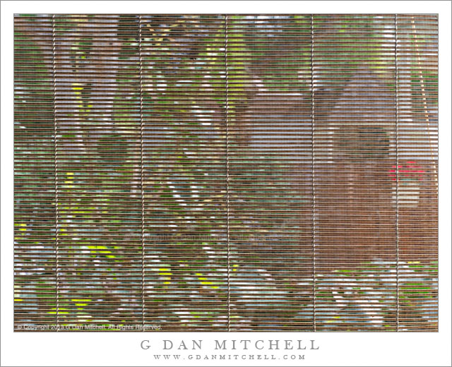 WindowBlindsScene20130316