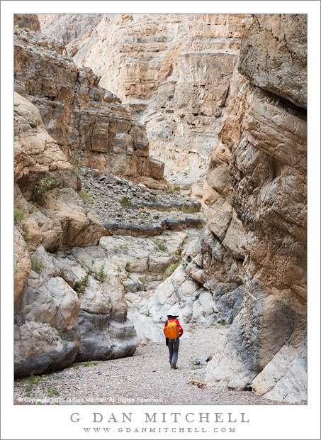 Desert Canyon Hiking