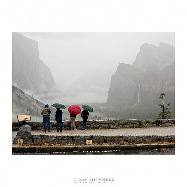 Three Umbrellas, Yosemite Valley View