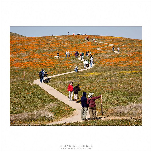 Visitors at the Antelope Valley California Poppy Preserve