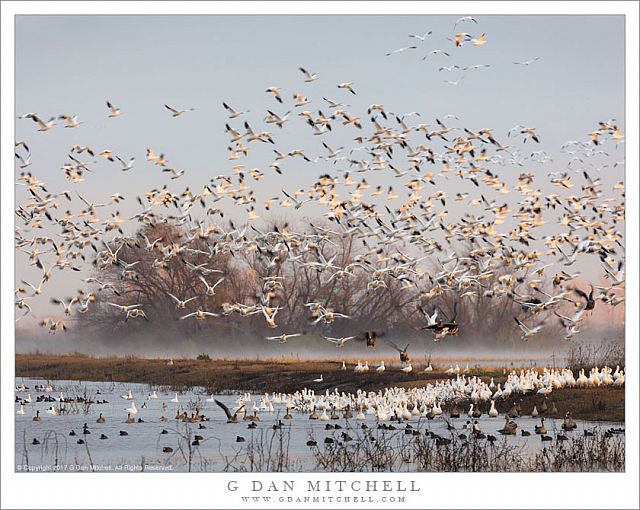 Morning Fly-Out