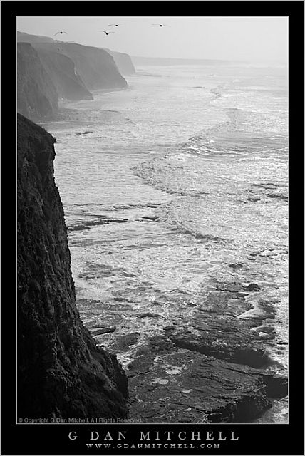 PacificSurfWinter20080112