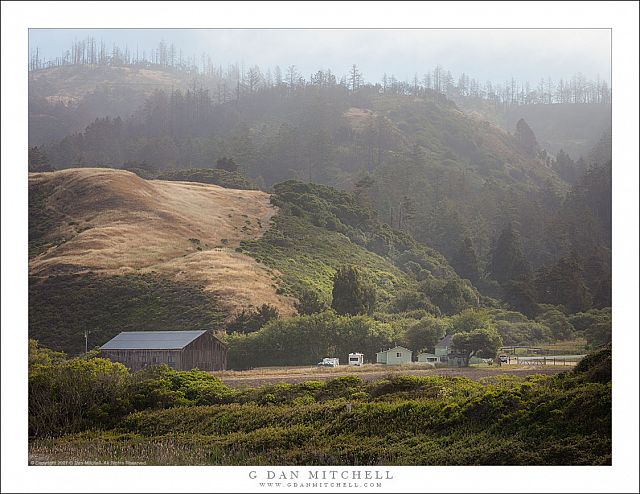 Coastal Farm, Burned Ridge