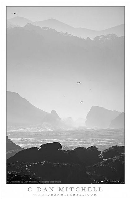 PointLobosHills20081130