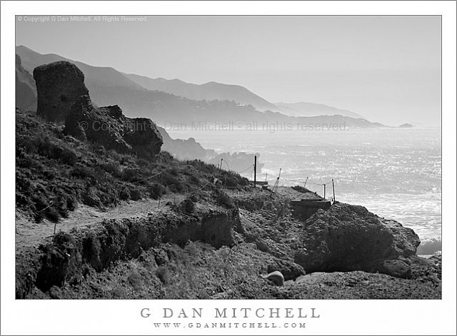 PointLobosTrailBW20080209