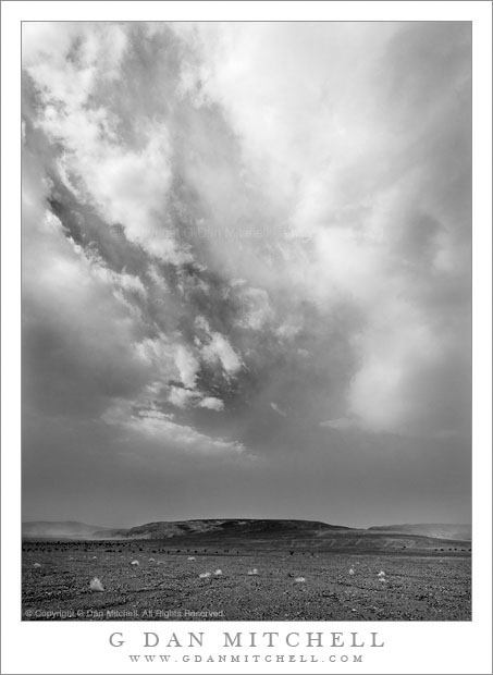 DustStormBW20090403