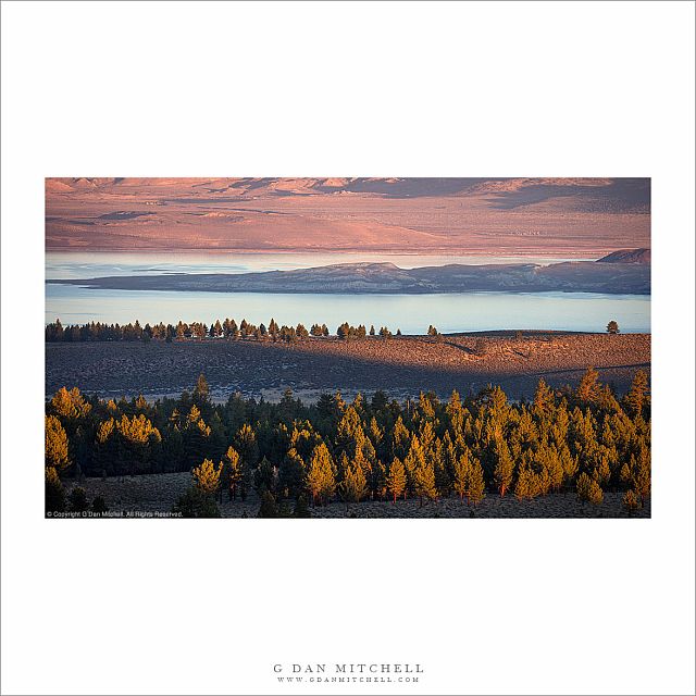 Mono Lake, Paoha Island