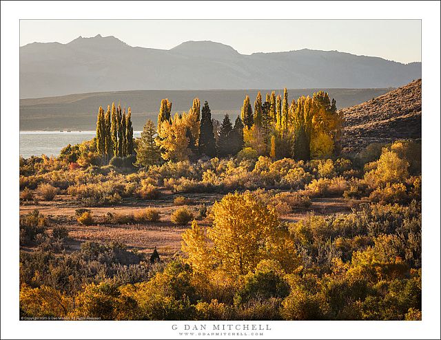 Mono Shoreline, Autumn