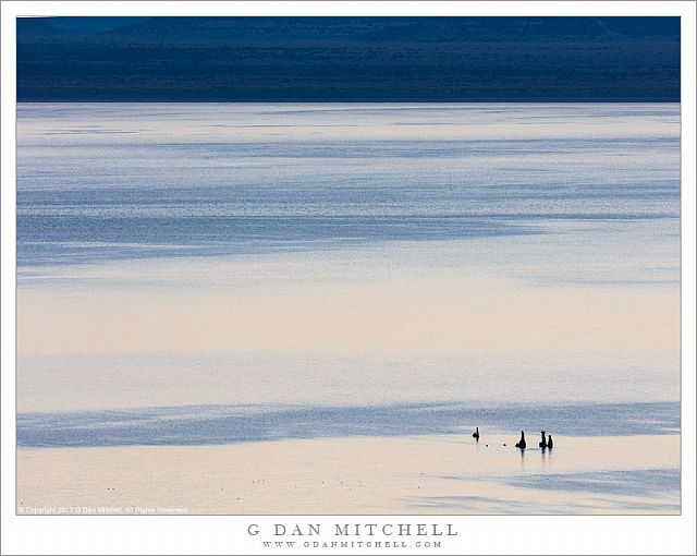 Tufa, Morning Reflections